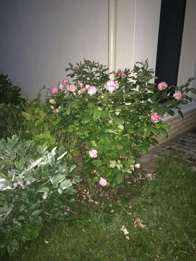 Rue De La Gare Villa Prouzel ภายนอก รูปภาพ